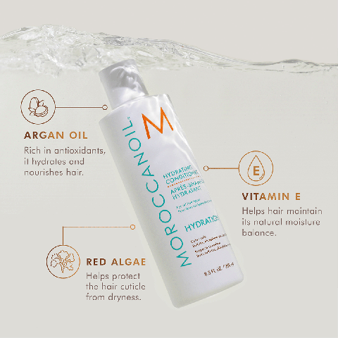 Moroccanoil - Hydrating Conditioner