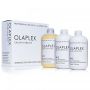 OlaPlex - Salon Intro Kit