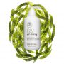 Paul Mitchell Tea Tree Scalp Anti-Thinning Conditioner